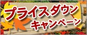 �v���C�X�_�E���L�����y�[��
