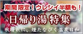 ���A�蓒���W