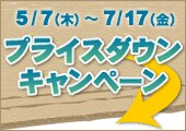 �v���C�X�_�E���L�����y�[��