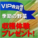 VIP���������-���n�̌��v���[���g-