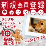 �V�K����o�^�͂�����
