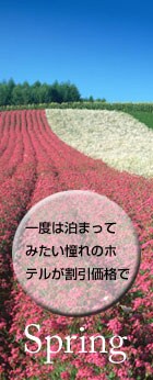 �C���[�W�摜