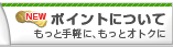 �|�C���g�ɂ���
