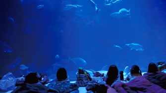 新江ノ島水族館