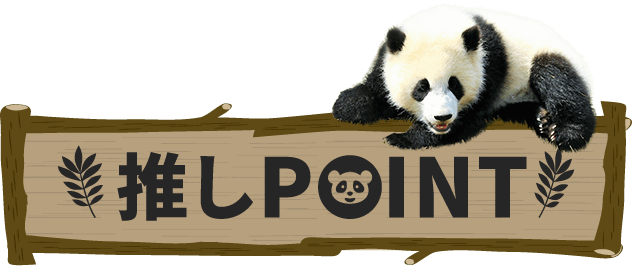 今月の推し動物 メン Recommended Animals 今月の推し動物 メン Recommended Animals