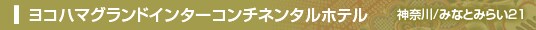 ���R�n�}�O�����h�C���^�[�R���`�l���^���z�e��