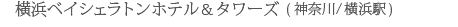 ���l�x�C�V�F���g�� �z�e�����^���[�Y(�_�ސ�^���l�w)