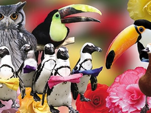 ���]�t�H�[�Q���p�[�N