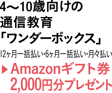 4?10Ό̒ʐMu_[{bNXv12ꊇE6ꊇEX AmazonMtg2,000~v[g