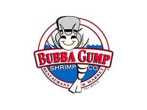 �o�o�E�K���v�E�V�������v