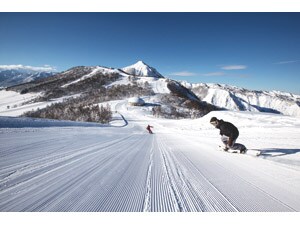 �y�d�q�`�P�b�g�z���q�X�m�[���]�[�g