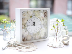 �T�����E�h�E�t���[���@���ق�