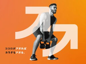 �e�`�r�s�f�x�l�Q�S�@�����