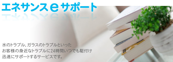 エネサンスeサポート