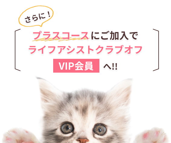 ɁIvXR[XŃCtAVXgNuItVIPցI