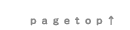 pagetop