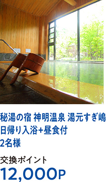秘湯の宿 神明温泉 湯元すぎ嶋日帰り入浴+昼食付2名様