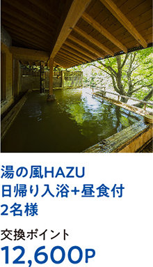 湯の風HAZU日帰り入浴+昼食付2名様