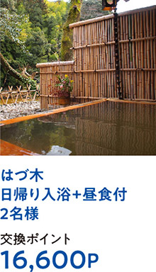 はづ木日帰り入浴+昼食付2名様