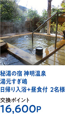 秘湯の宿 神明温泉湯元すぎ嶋日帰り入浴+昼食付  2名様
