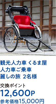 観光人力車 くるま屋人力車ご乗車麗しの旅  2名様