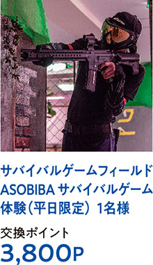 サバイバルゲームフィールドASOBIBA サバイバルゲーム体験（平日限定）  1名様