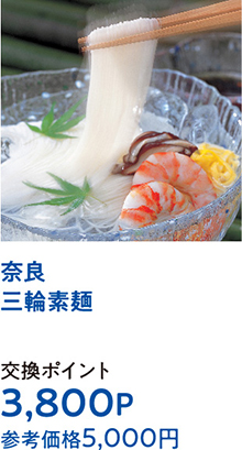 奈良三輪素麺
