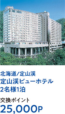 北海道/定山渓定山渓ビューホテル2名様1泊