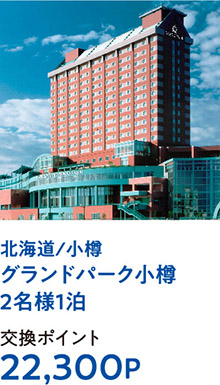 北海道/小樽グランドパーク小樽2名様1泊