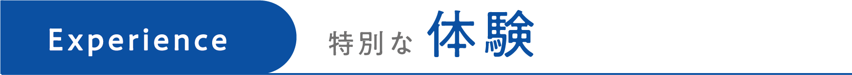 特別な体験