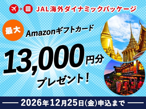 JAL�@�C�O�_�C�i�~�b�N�p�b�P�[�W