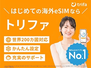 �C�O�p�v���e�����[�^�[�����^���@�O���[�o���v���e��