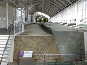 北淡震災記念公園・野島断層保存館 - ソニー損保クラブオフサービス