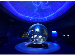 新江ノ島水族館 - 平安クラブオフ(CLUB-OFF)／会員特典・優待サービス