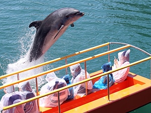 ○【最大50％OFF／チケット郵送】下田海中水族館 - セブン