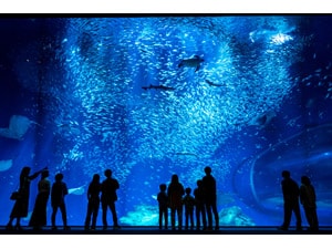 電子チケット】アクアワールド茨城県大洗水族館 - Lucky-na 電子チケット】アクアワールド茨城県大洗水族館 - Lucky-na