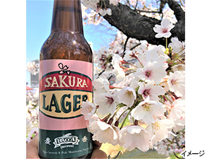 クラフトビール「BACCAブルーイング」通販サイト - リゾンクラブ