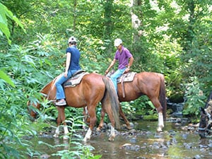 春香ホースランチ チューリッヒ生命club Off クラブオフ 会員特典 優待サービス
