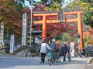 ビワイチバイク レンタサイクル - れいんぼーくらぶ Off(クラブオフ