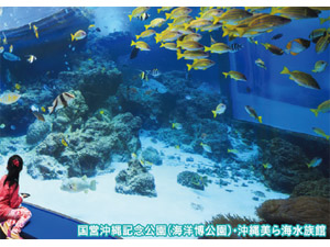 電子チケット】とくとく5パス ジャングリア沖縄 - JFRカードクラブ