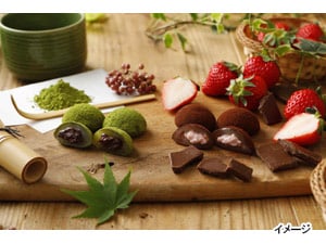 電解水素水整水器【グラント還元水Puravia】 - ぐんぎんロング