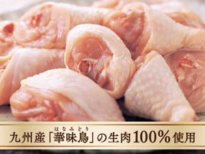 プレミアムドッグフード「うまか」お試しセット - ハイム'S CLUB OFF