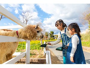 神戸どうぶつ王国 J Com 加入者特典 優待サービス