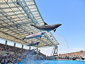□【ホットスタッフ専用】名古屋港水族館 - P－コンシェル(クラブオフ