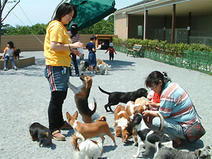 世界の名犬牧場 Ucカード Club Off クラブオフ 会員特典 優待サービス