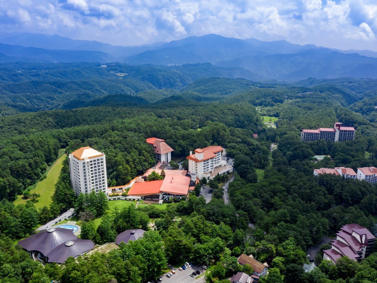 矢島祥子　 　バラ 矢島祥子 バラ