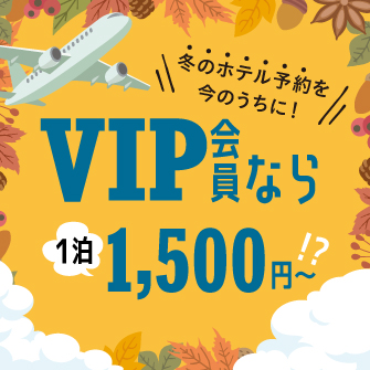 VIPȂ11,500~