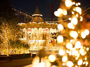 �y�ݐ؁z�R�^�P�R�Ђ炩���p�[�N�@�i�C�g�V���n