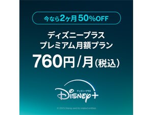 �c�����������{�@�i�f�B�Y�j�[�v���X�j