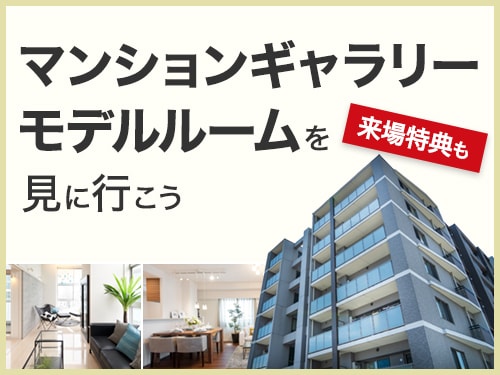 ���f�����[�������ɍs����